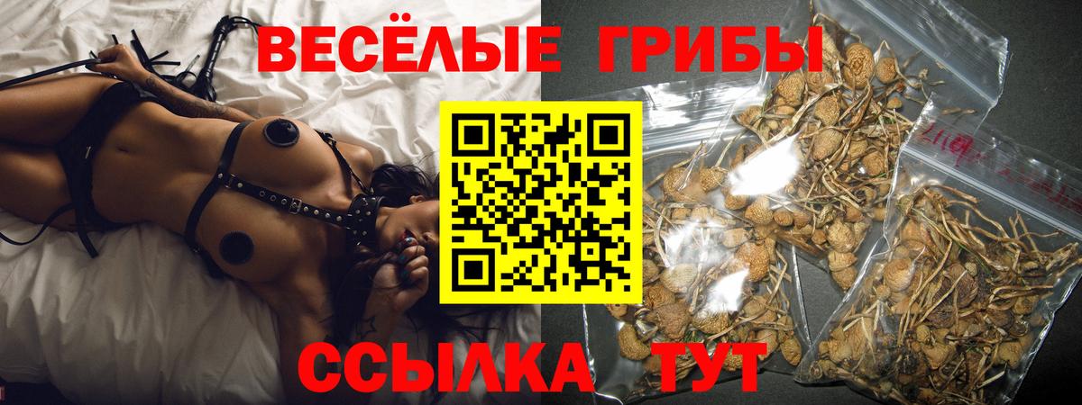 Галлюциногенные грибы GOLDEN TEACHER Печора